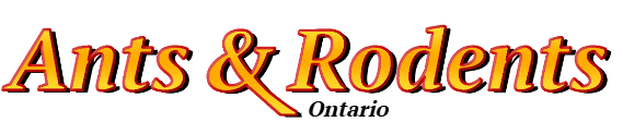 Ontario Ant Exterminator & Rodent Control Company Logo